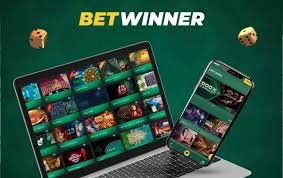 دليل شامل لBetwinner تجربة المراهنات عبر الإنترنت في مصر