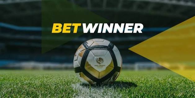 Experience the Thrill of BetWinner Online Casino Your Ultimate Gaming Destination